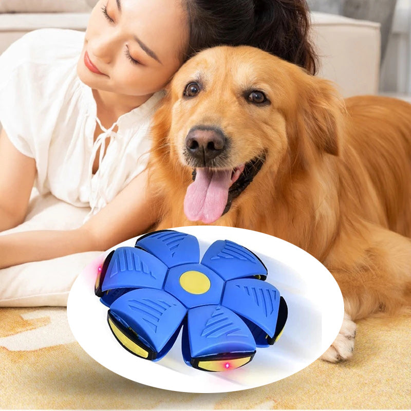 Doggy Disc Ball
